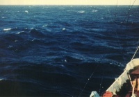 Beaufort Nummer 6 – Starker Wind