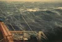 Beaufort Nummer 8 – Stürmischer Wind