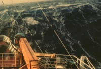 Beaufort Nummer - Sturm